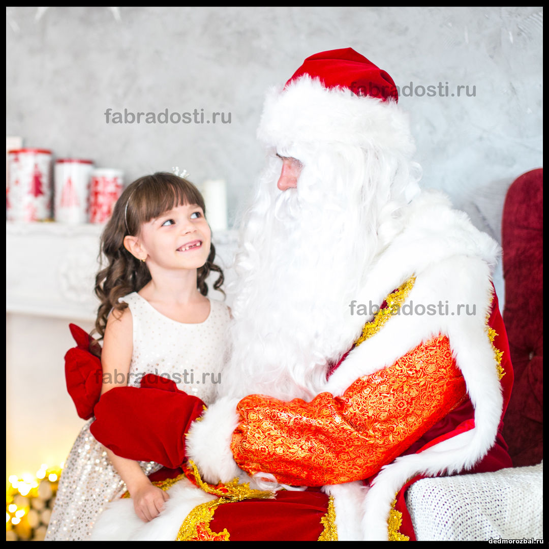 дед мороз и снегурочка на дом